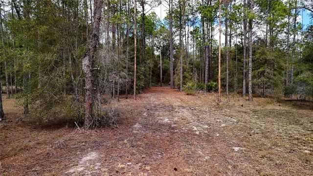 237 HIGHLAND DRIVE, Hawthorne, FL 32640