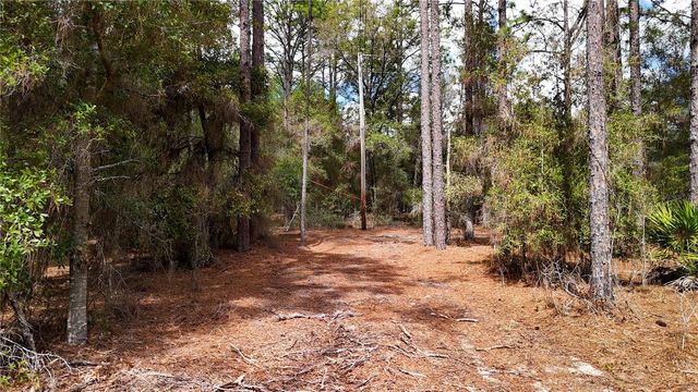 237 HIGHLAND DRIVE, Hawthorne, FL 32640