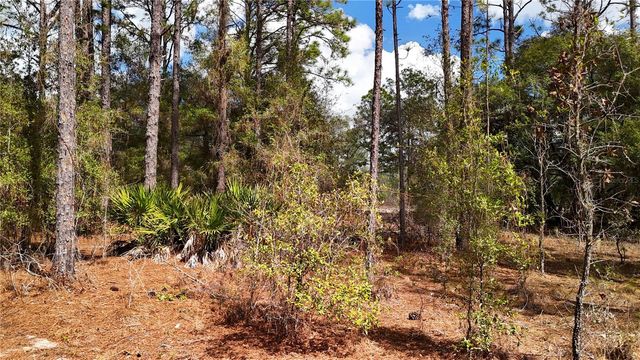 237 HIGHLAND DRIVE, Hawthorne, FL 32640