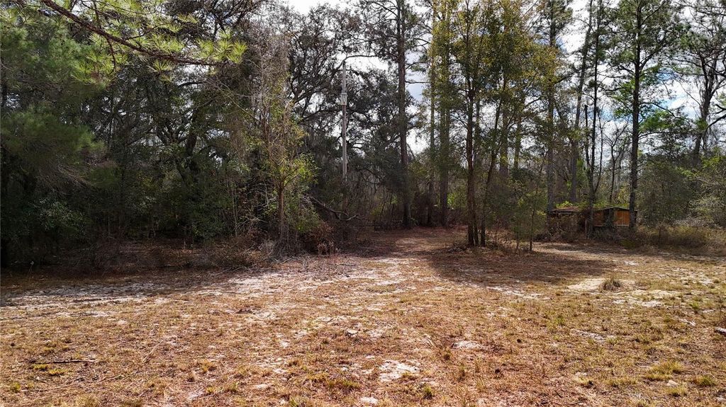 Image 11 of property listing at 237 HIGHLAND DRIVE, Hawthorne, FL 32640