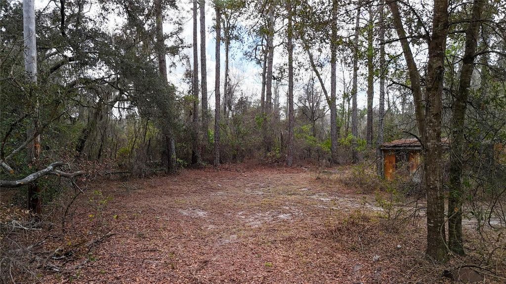 Image 12 of property listing at 237 HIGHLAND DRIVE, Hawthorne, FL 32640