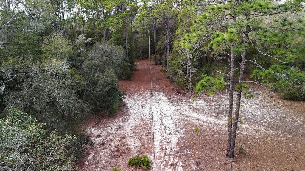 Image 32 of property listing at 237 HIGHLAND DRIVE, Hawthorne, FL 32640