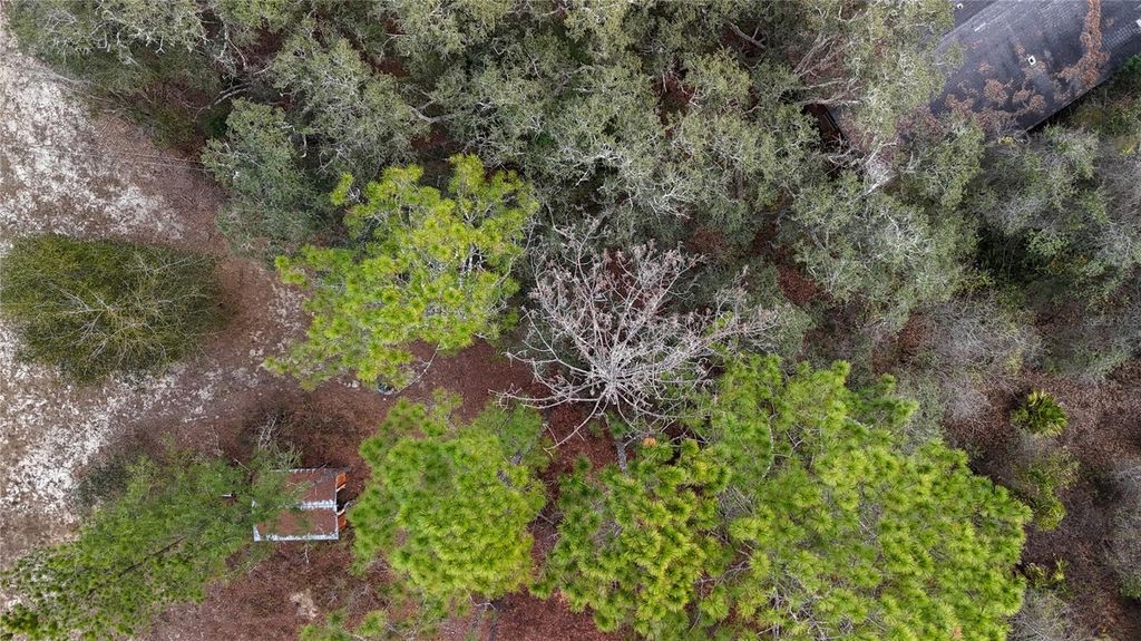 Image 33 of property listing at 237 HIGHLAND DRIVE, Hawthorne, FL 32640