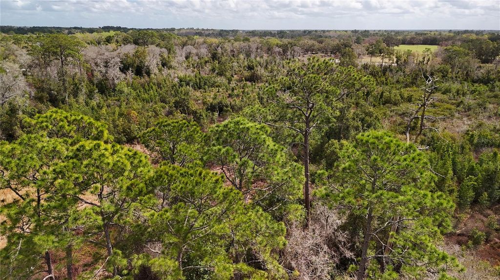 Image 34 of property listing at 237 HIGHLAND DRIVE, Hawthorne, FL 32640