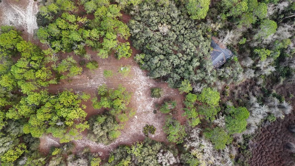 Image 5 of property listing at 237 HIGHLAND DRIVE, Hawthorne, FL 32640