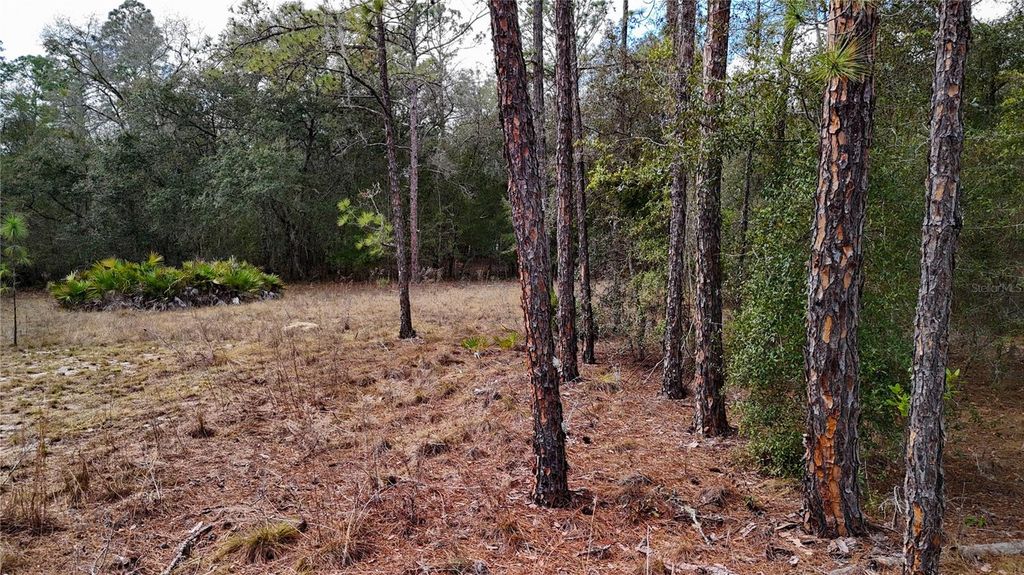 Image 6 of property listing at 237 HIGHLAND DRIVE, Hawthorne, FL 32640