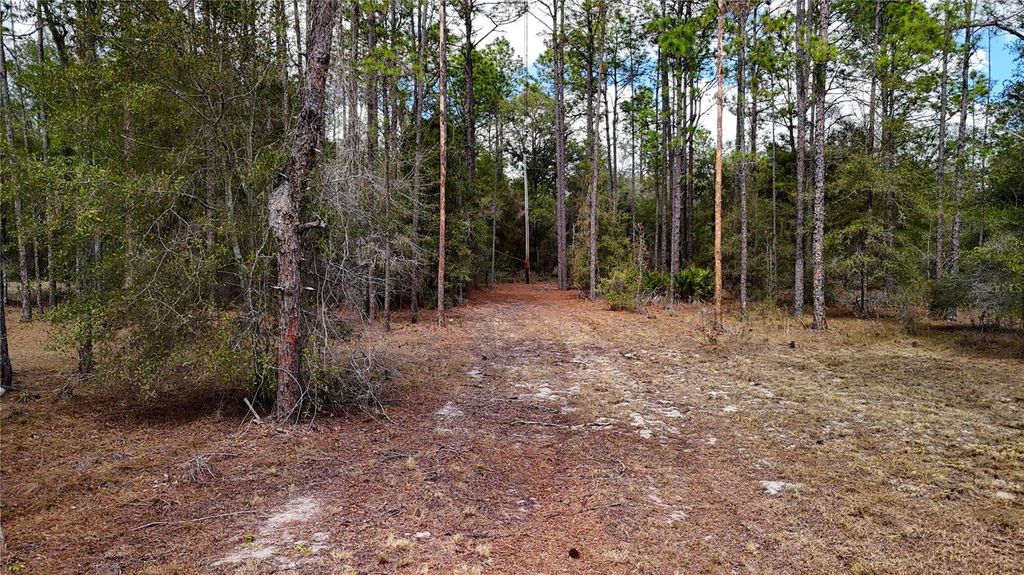 Image 7 of property listing at 237 HIGHLAND DRIVE, Hawthorne, FL 32640