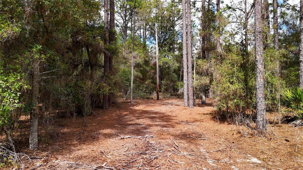 Image 8 of property listing at 237 HIGHLAND DRIVE, Hawthorne, FL 32640