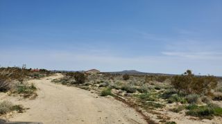 Vicinity 25th St W S/O Gibbs, Mojave, CA 93501