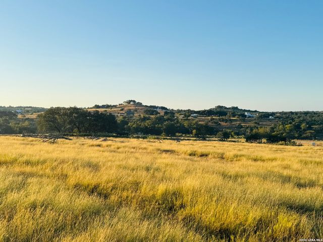 LOT 1 Purple Sage, Blanco, TX 78606