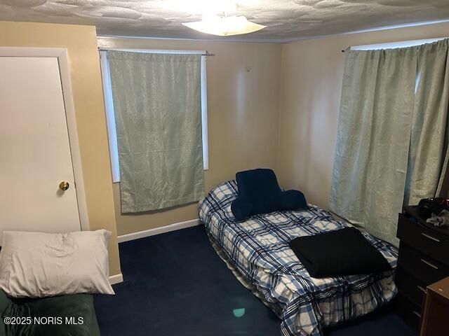 313 N Elm Street, Edgerton, OH 43517