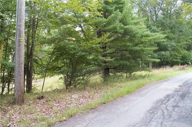 Painter Hill Road, Mountain Dale, NY 12763
