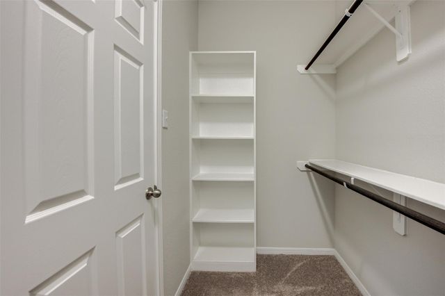 6544 Castle Loch Court, Houston, TX 77048