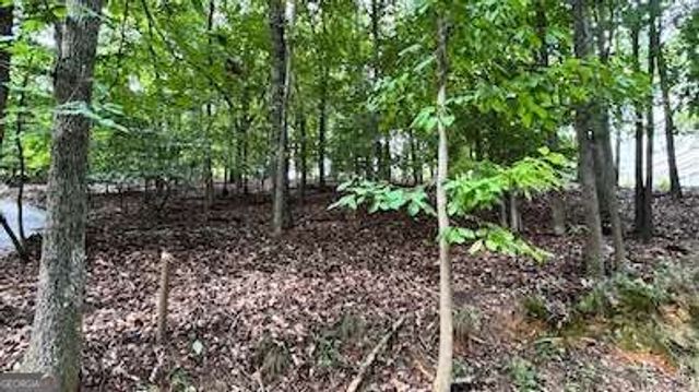 63 Lakeshore Drive, Duluth, GA 30096