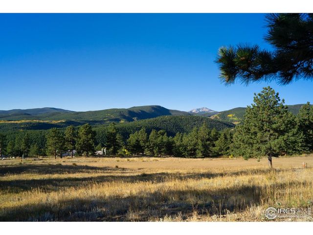 21 Juneau Cir, Nederland, CO 80466