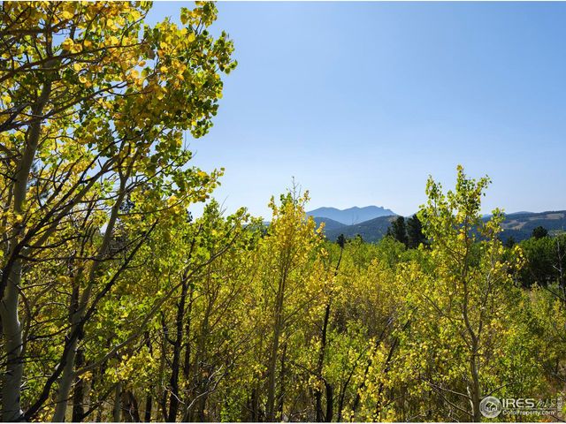 21 Juneau Cir, Nederland, CO 80466