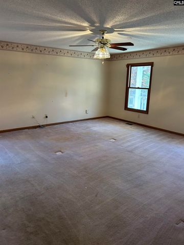 1511 Pet Sites Road, Chapin, SC 29036