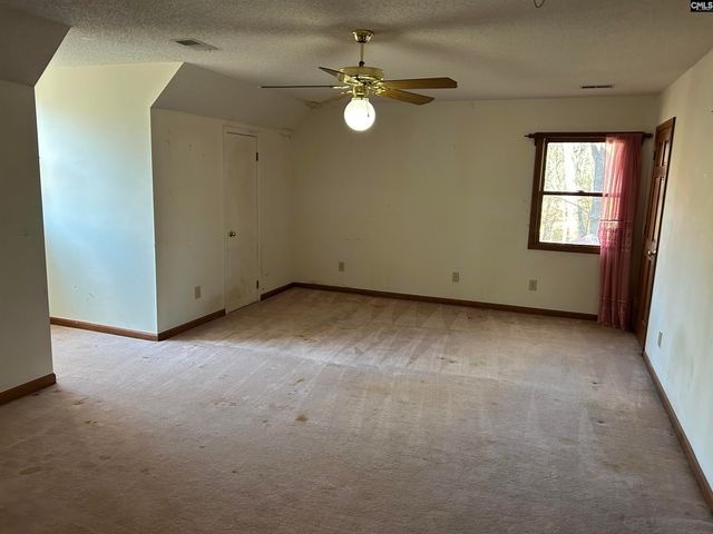 1511 Pet Sites Road, Chapin, SC 29036