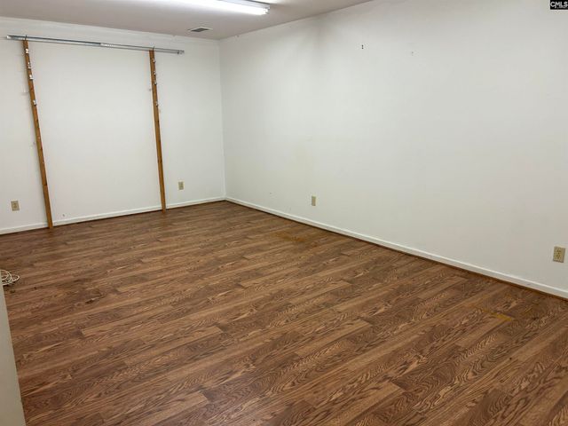 1511 Pet Sites Road, Chapin, SC 29036