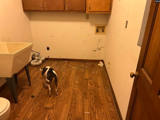 1511 Pet Sites Road, Chapin, SC 29036