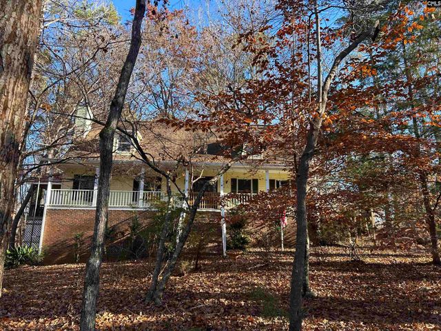 1511 Pet Sites Road, Chapin, SC 29036