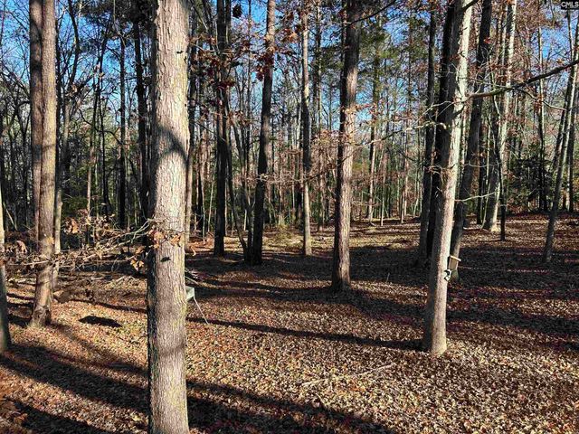 1511 Pet Sites Road, Chapin, SC 29036
