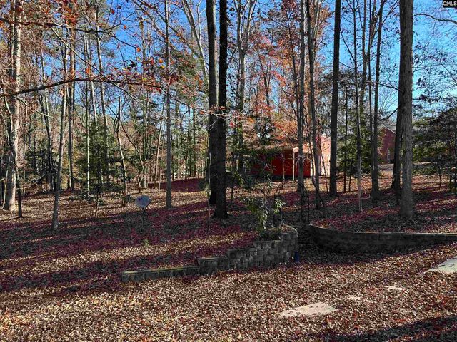 1511 Pet Sites Road, Chapin, SC 29036