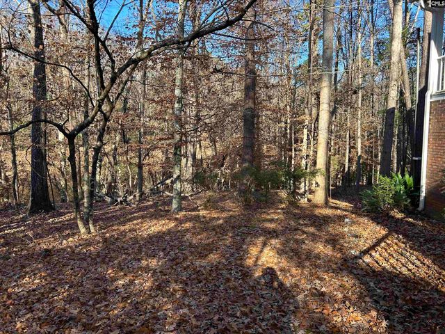 1511 Pet Sites Road, Chapin, SC 29036