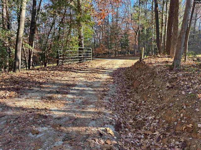 1511 Pet Sites Road, Chapin, SC 29036