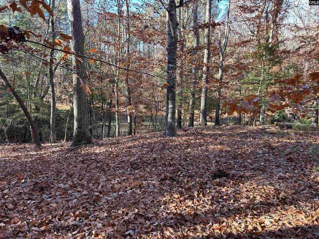 1511 Pet Sites Road, Chapin, SC 29036