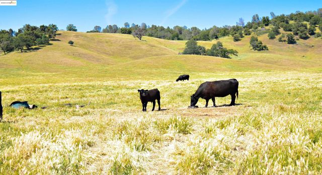 9325 Fraguero, Sonora, CA 95370