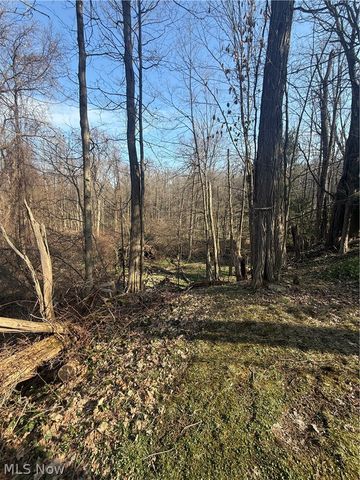 10076 Sherman Road, Chesterland, OH 44026