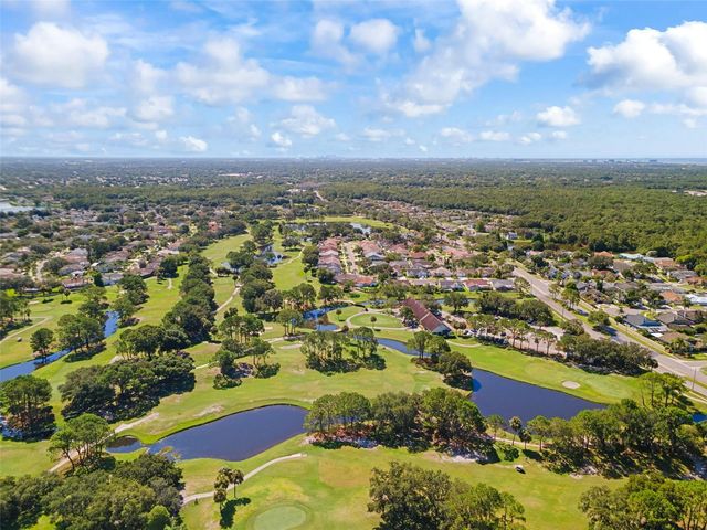 11106 WINDPOINT DRIVE W, Tampa, FL 33635