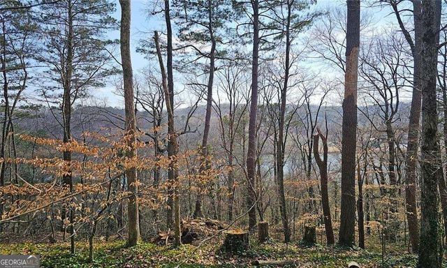 128 River Ridge Lane, Roswell, GA 30075