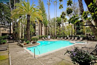1246 Walker Ave 210, Walnut Creek, CA 94596