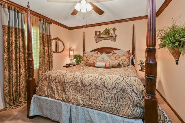901 N Rodeo Court, Nixa, MO 65714