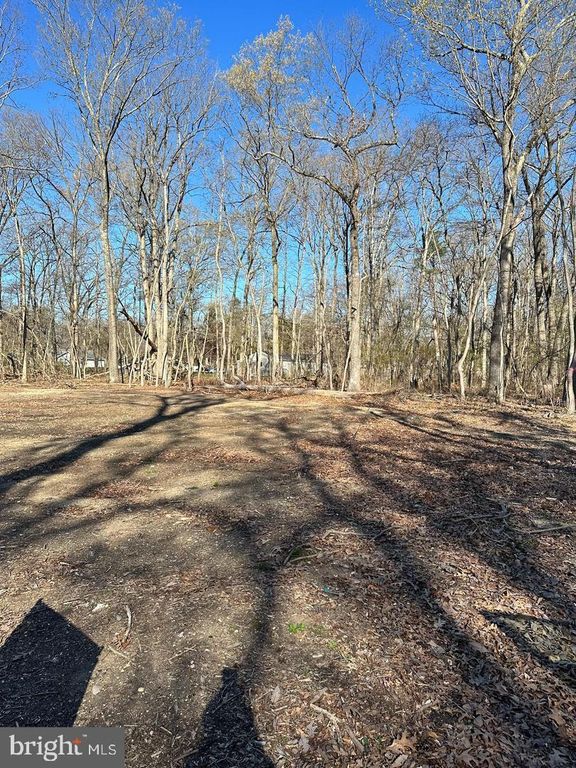 1609 BOSTON AVE, WILLIAMSTOWN, NJ 08094 — photo 4