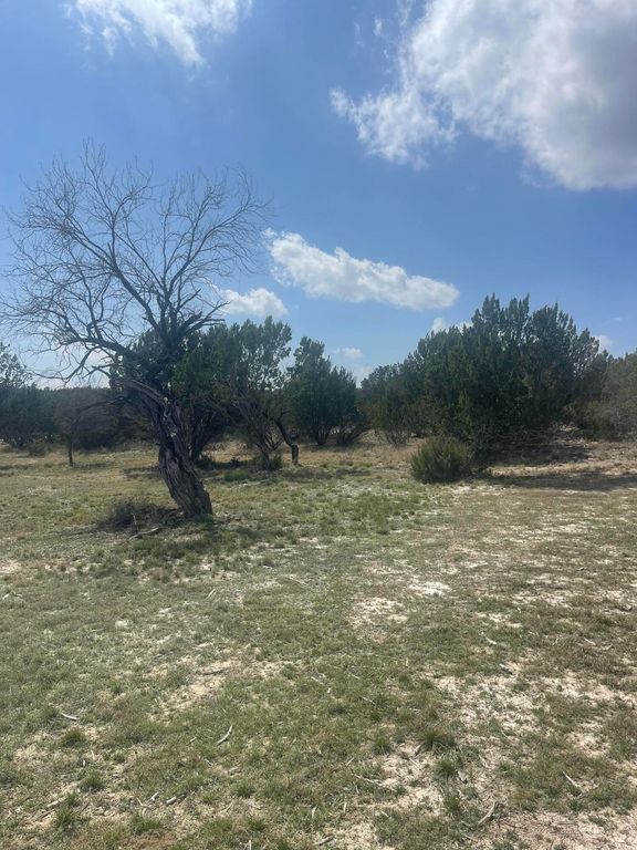 Image 4 of property listing at 11005 Graham Way, Paint Rock, TX 76866