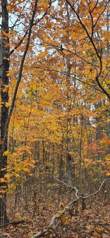 0 Bobcat Trail, Dunlap, TN 37327