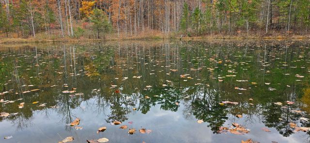 0 Bobcat Trail, Dunlap, TN 37327