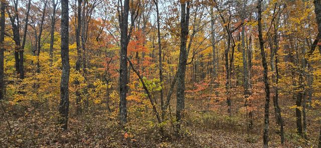 0 Bobcat Trail, Dunlap, TN 37327