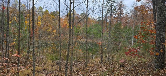 0 Bobcat Trail, Dunlap, TN 37327