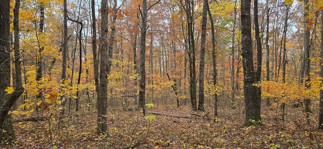 0 Bobcat Trail, Dunlap, TN 37327