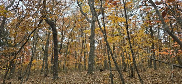 0 Bobcat Trail, Dunlap, TN 37327