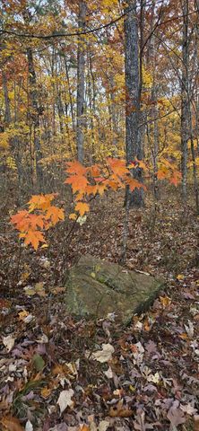0 Bobcat Trail, Dunlap, TN 37327
