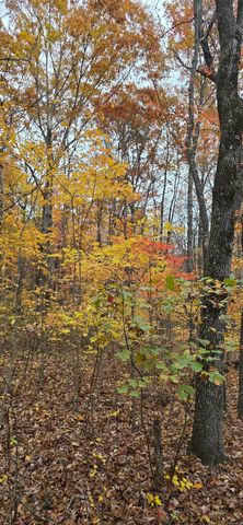 0 Bobcat Trail, Dunlap, TN 37327