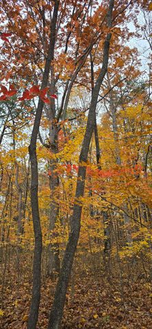 0 Bobcat Trail, Dunlap, TN 37327