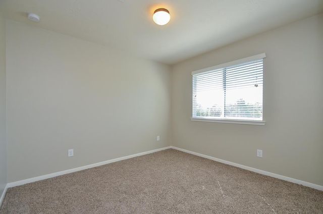 12902 Iris Garden Lane, Houston, TX 77044