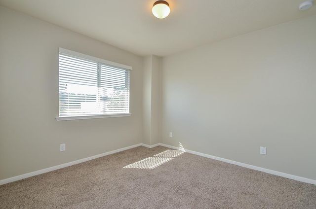 12902 Iris Garden Lane, Houston, TX 77044