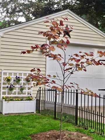 113 Leon Street, Madison, WI 53714